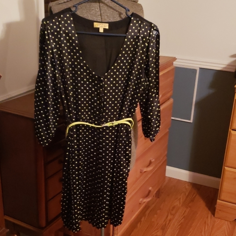 Princess Vera Wang dress